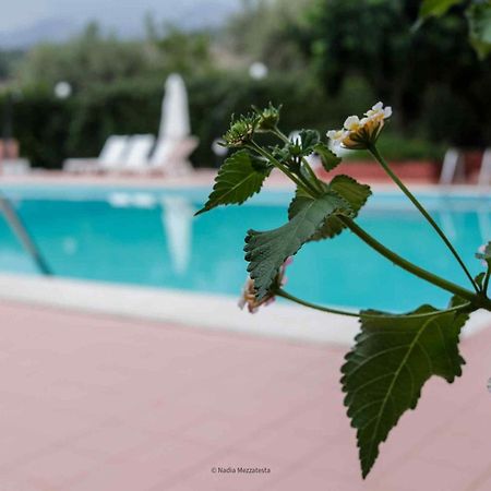Il Casale Il Sole E La Margherita 캄포펠리체 디 로첼라 외부 사진