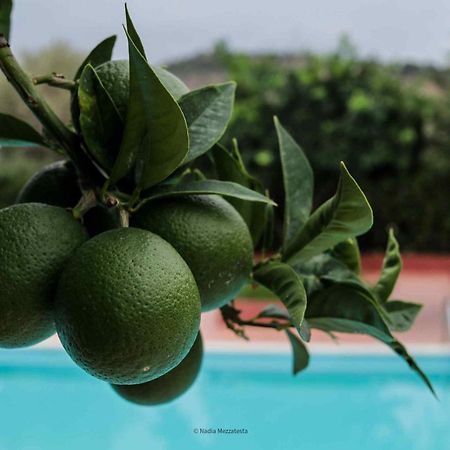 Il Casale Il Sole E La Margherita 캄포펠리체 디 로첼라 외부 사진