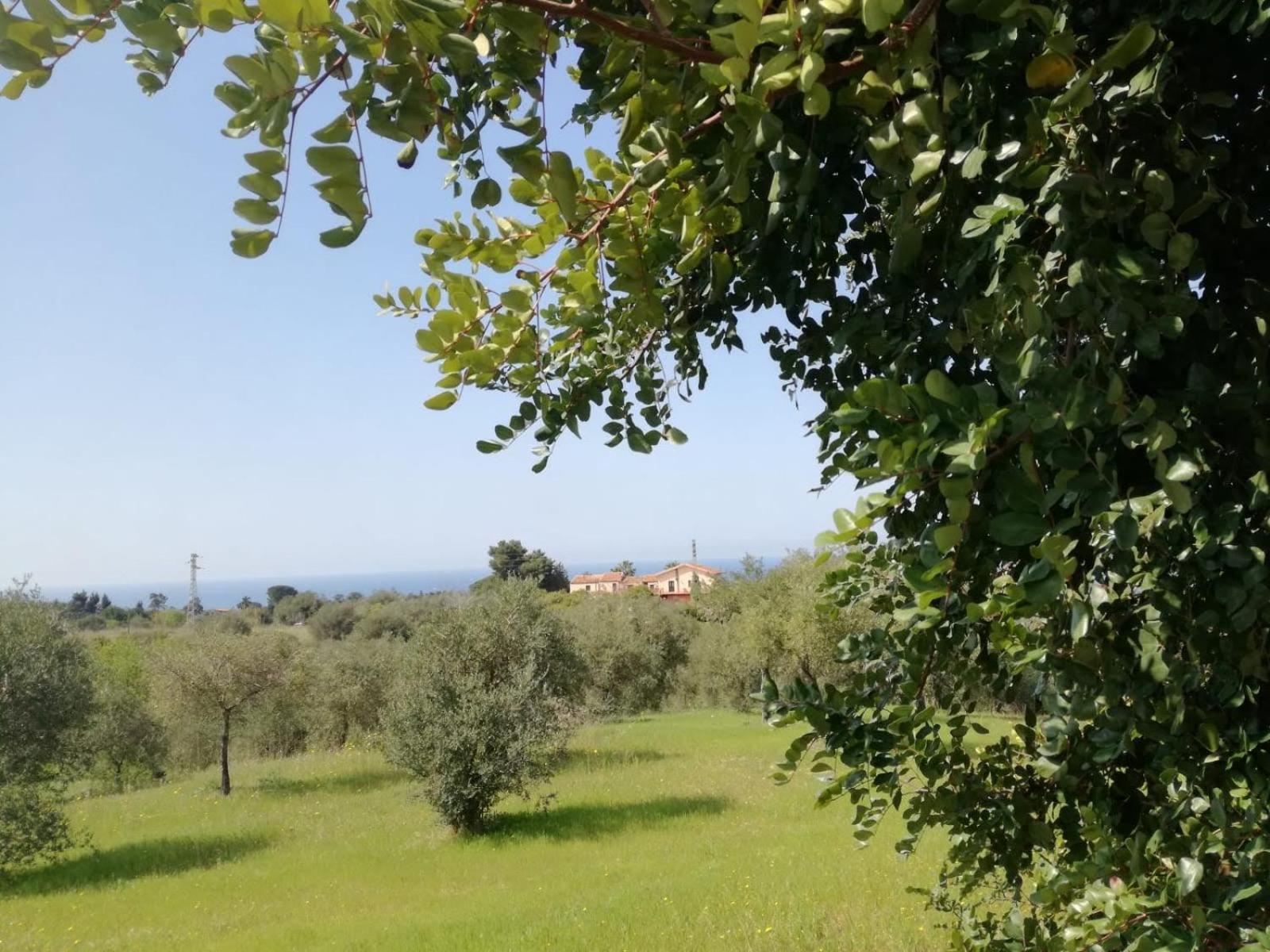Il Casale Il Sole E La Margherita 캄포펠리체 디 로첼라 외부 사진